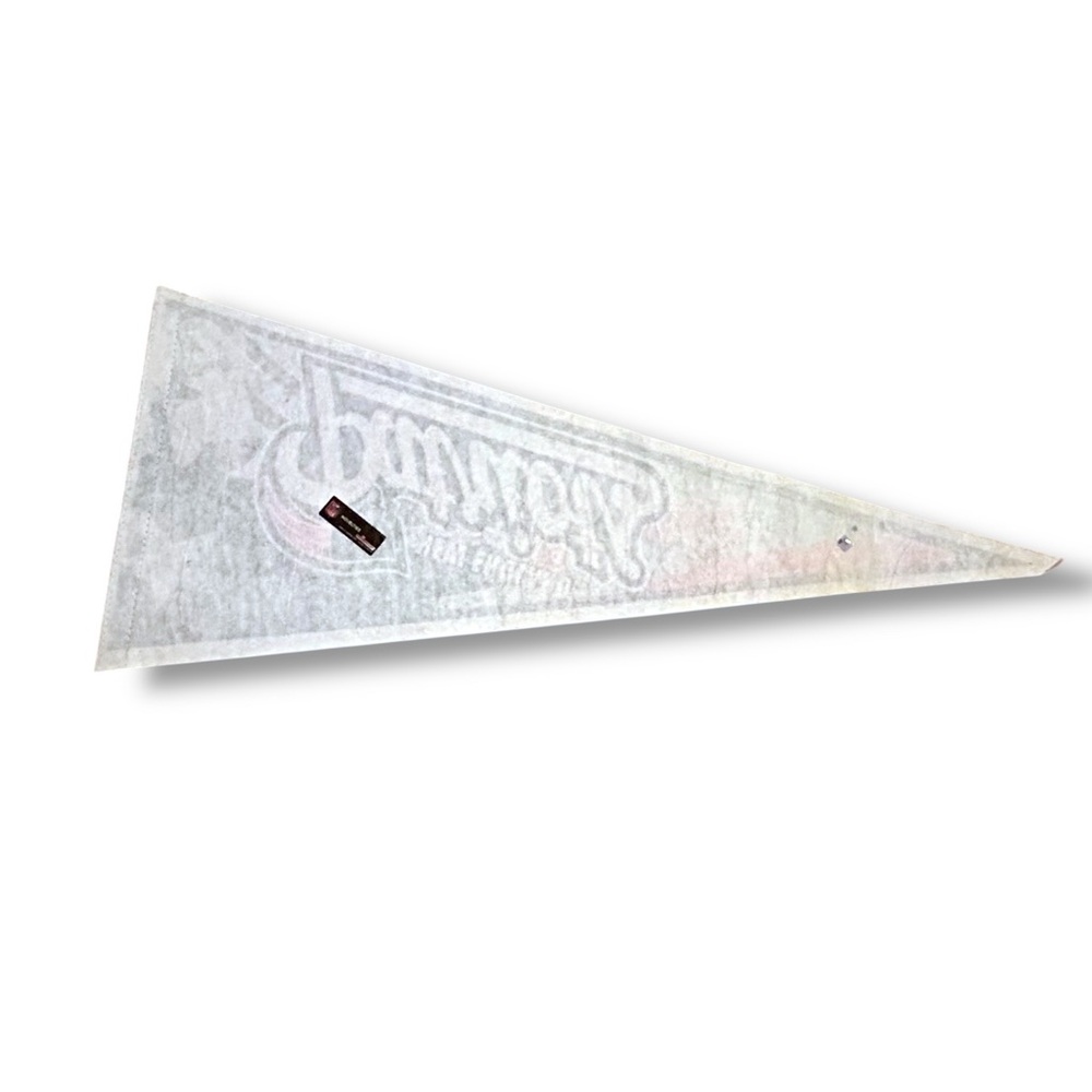 Vintage Y2K New England Patriots Felt Pennant Banner Flag Licensed NFL Fan Gear - Picture 3 of 15